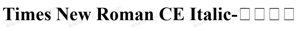 Times New Roman CE Italic字体转换